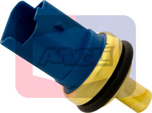 Angli 1865 - Sonde de température, liquide de refroidissement www.widencarpieces.com