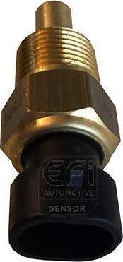 EFI 295069 - Capteur, température d'huile www.widencarpieces.com