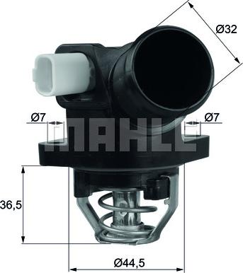 Wilmink Group WG1217769 - Thermostat d'eau www.widencarpieces.com